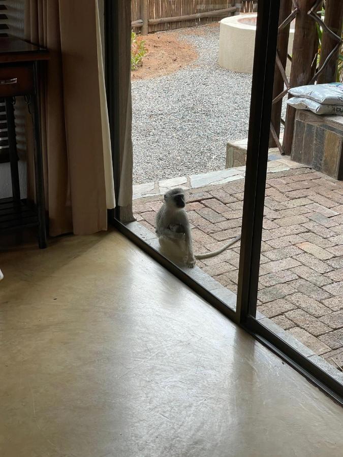 The Cheetah Rest Villa Hoedspruit Exteriör bild