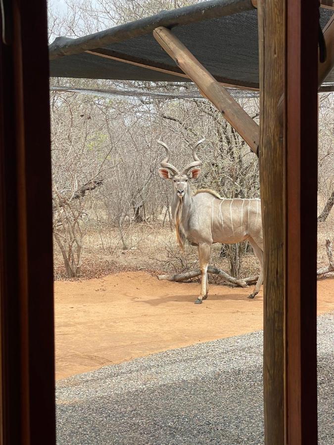The Cheetah Rest Villa Hoedspruit Exteriör bild